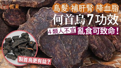 何首烏粉功效|何首烏秋冬進補怎麼吃？醫列功效禁忌＋何首烏藥膳做。